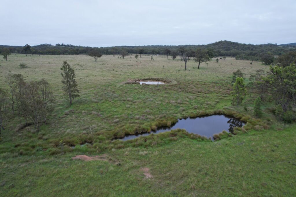 Buyer In Karara QLD property